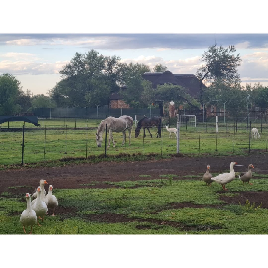 10 Bedroom Property for Sale in Warrenton Northern Cape